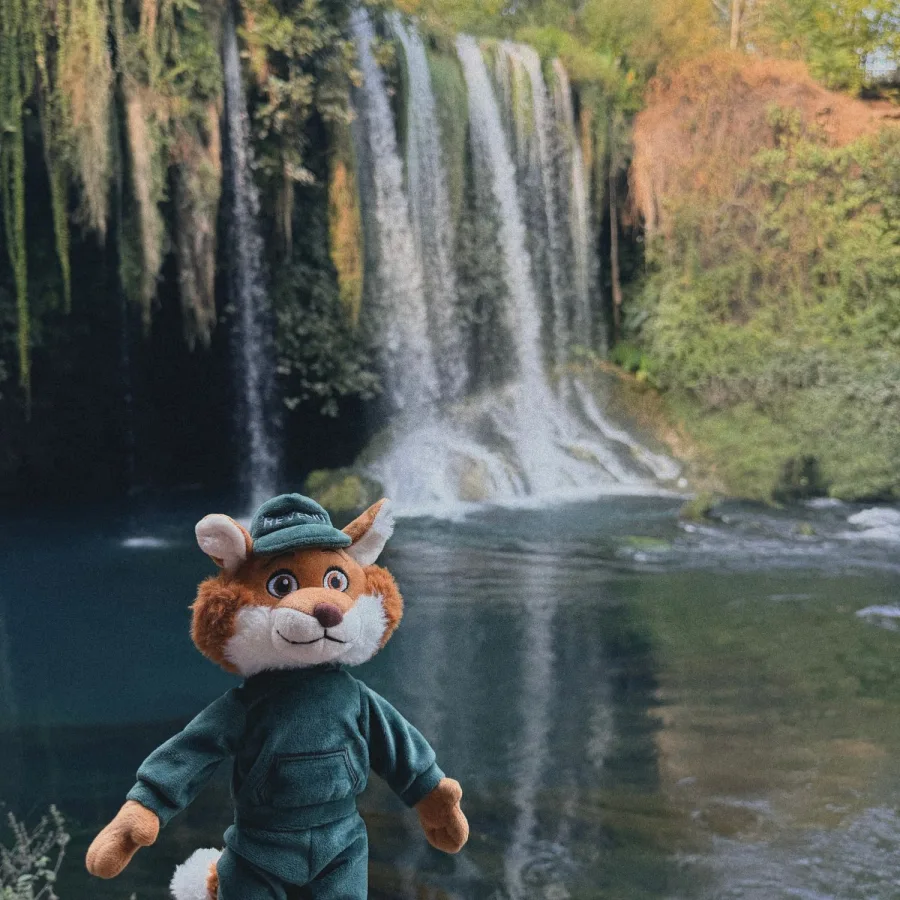 Rev in front of a waterfall